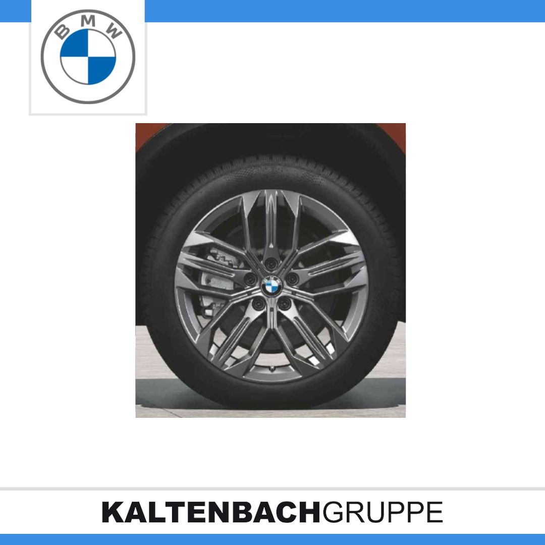 Doppelspeiche 879.jpg